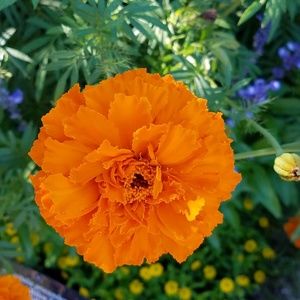 Meet your Posher, Dondria